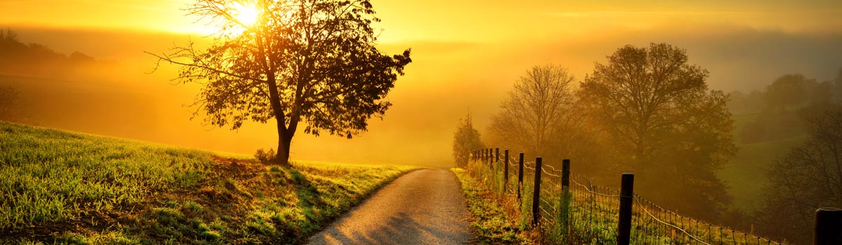 Hope Recovery Network